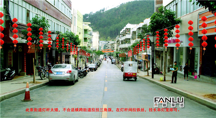 西林沙糖桔節氛圍